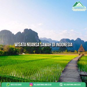 Wisata Nuansa Sawah di Indonesia